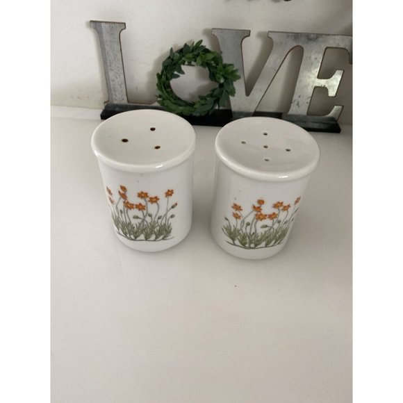 Takashi Ceramic Salt and Pepper Shakers‎ Orange Flowers - Picture 3 of 16